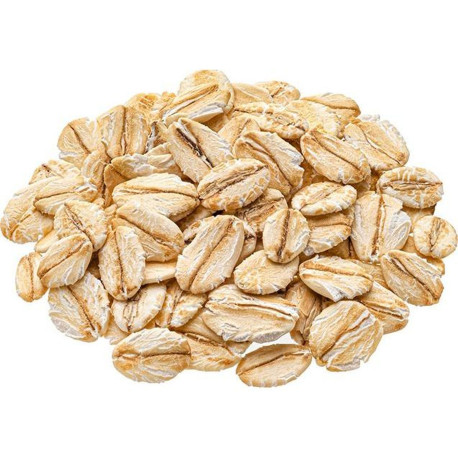 BIO FLOCON D`AVOINE 10X400G